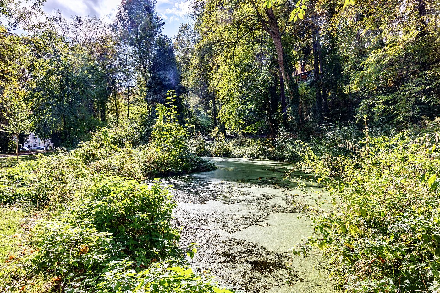 Плосък с 2 Стаи | München-Thalkirchen | 70493 | Viel Natur