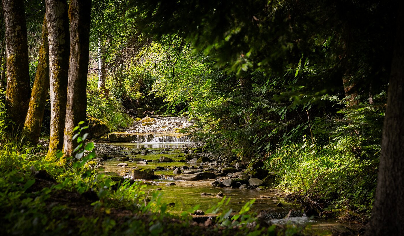 1층 평면 와 함께 3 객실 | Bad Wiessee | 70053 | Zeiselbach