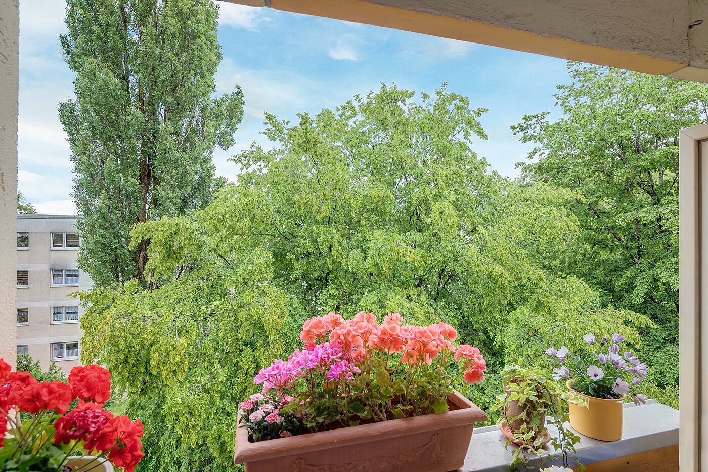 Plat met 1 Kamer | München-Forstenried | 2106ML6 | ...mit Blick ins Grüne