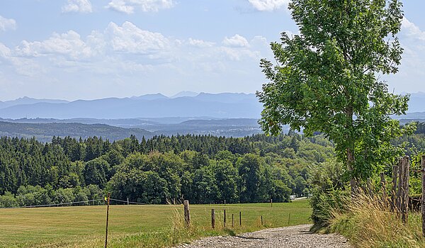 Samostatne stojaci dom s 5 Izby | Icking | 70438 | Umgeben von Bergen