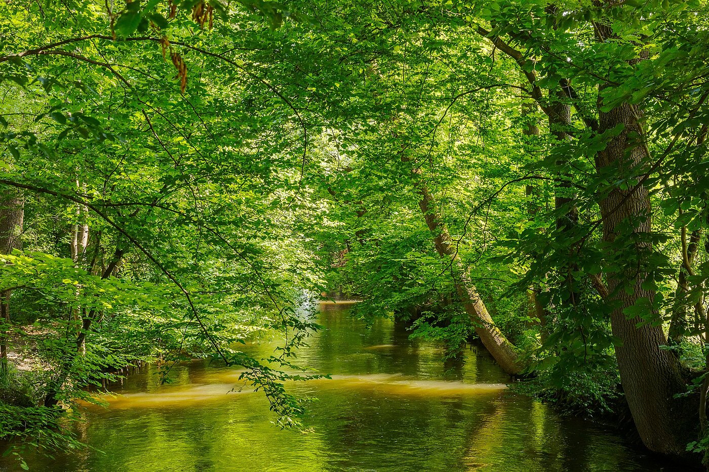 Flad med 2 Værelser | München-Pasing | 2108ML1 | Naherholung im Stadtpark