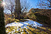 Narożny dom szeregowy z 5.5 Pokoje | München-Trudering | 702531 | Eingewachsener Garten | Thumbnail