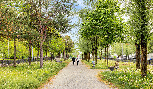 Lapos a  címen 2 Szobák | München-Sendling-Westpark | 70413 | Grüne Umgebung
