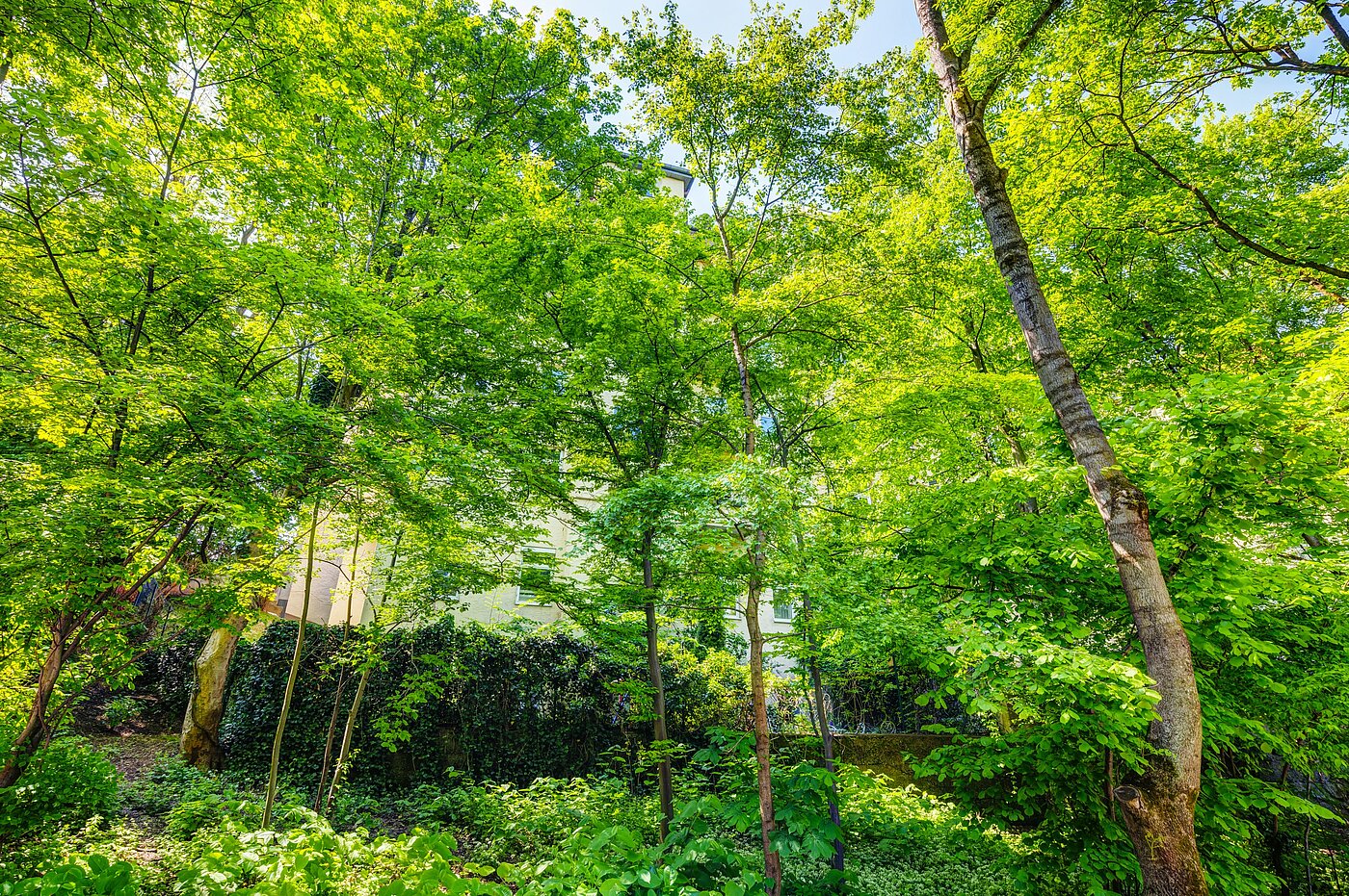 Плосък с 2.5 Стаи | München-Sendling | 70067 | ...versteckt hinter Bäumen