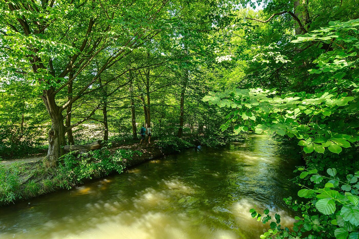 Dvojdomek s 6 Pokoje | München-Pasing | 2007ML5 | Die Würm um die Ecke
