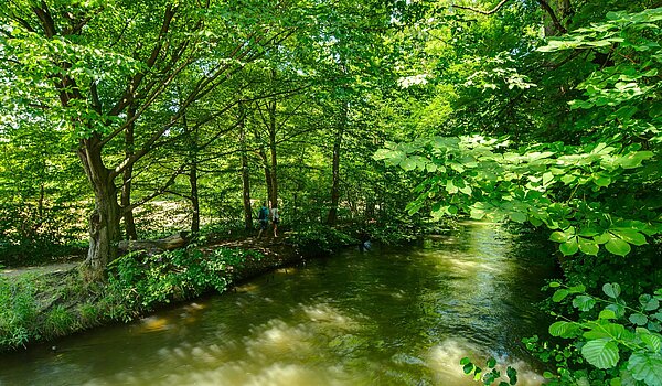 Окремий будинок з 6 Кімнати | München-Pasing | 2007ML5 | Die Würm um die Ecke