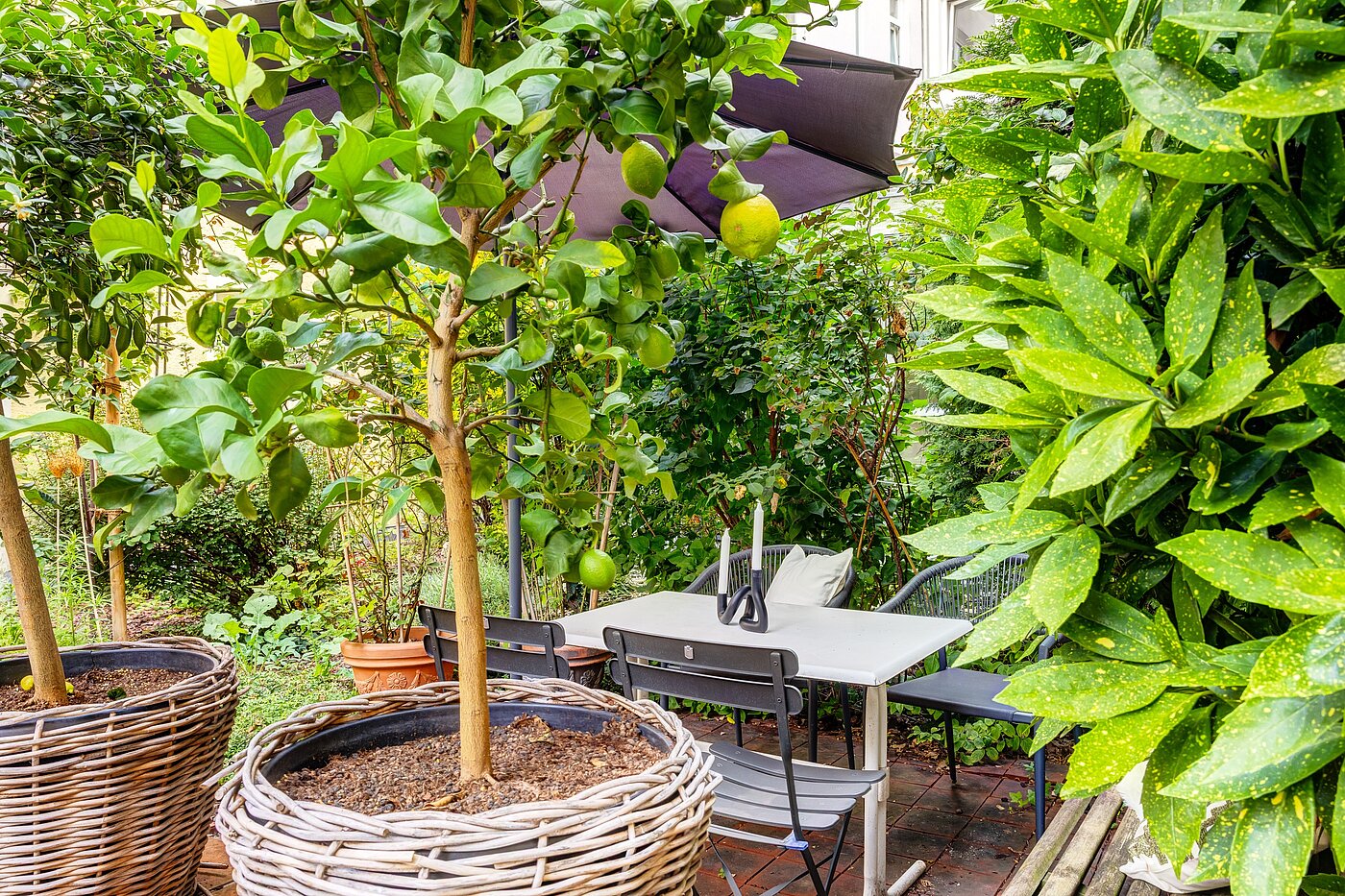 Begane grond flat met 1 Kamer | München-Haidhausen | 70228 | ...Südfrüchten und...