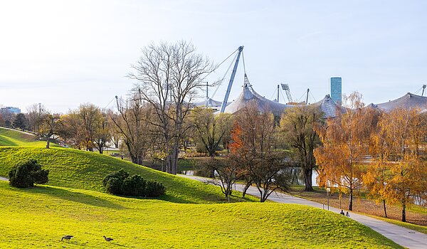 Lapos a  címen 3 Szobák | München-Schwabing | 70318 | Naherholung