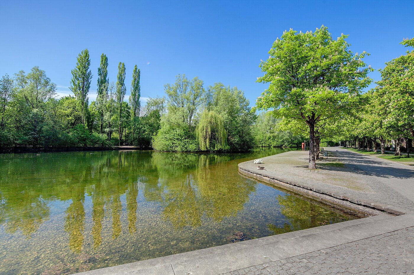 Ravna stran s spletno stranjo . 2 Sobe | München-Schwabing | 70102 | Schwabinger See