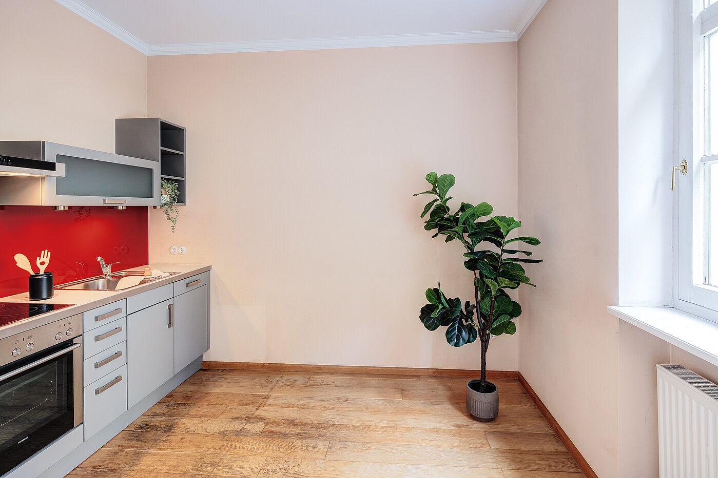 Begane grond flat met 1 Kamer | München-Haidhausen | 70228 | ...und Wohnküche