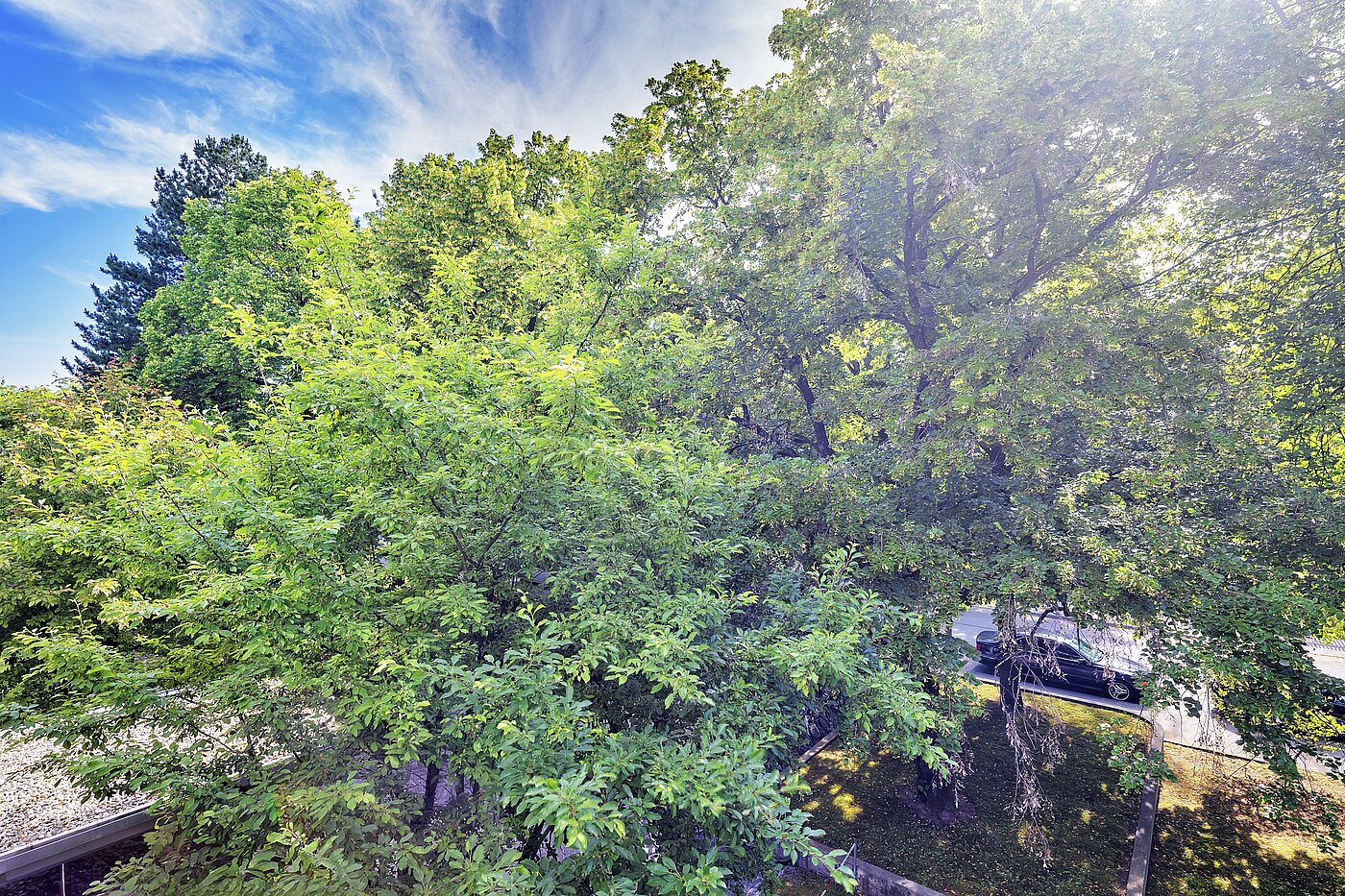 Platt med 3.5 Rum | München-Bogenhausen | 70267 | ...Ausblick ins Grüne