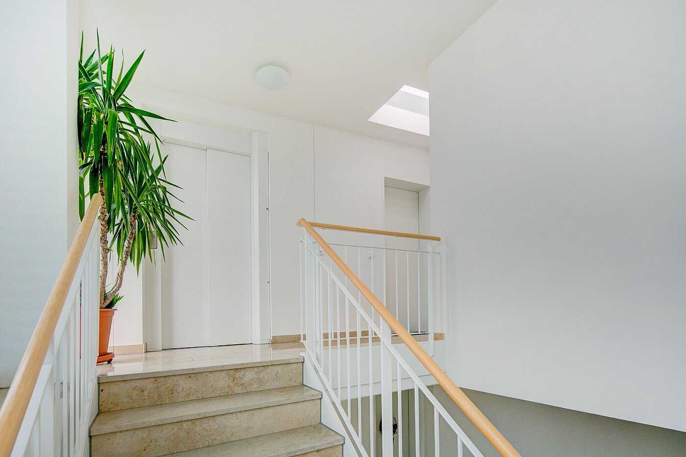 Ravna stran s spletno stranjo . 3 Sobe | München-Riem | 1906ML3 | Gepflegtes Treppenhaus und...