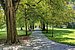 Apartment a  címen 1 Szoba | München-Schwabing | 70200 | Luitpoldpark | Thumbnail