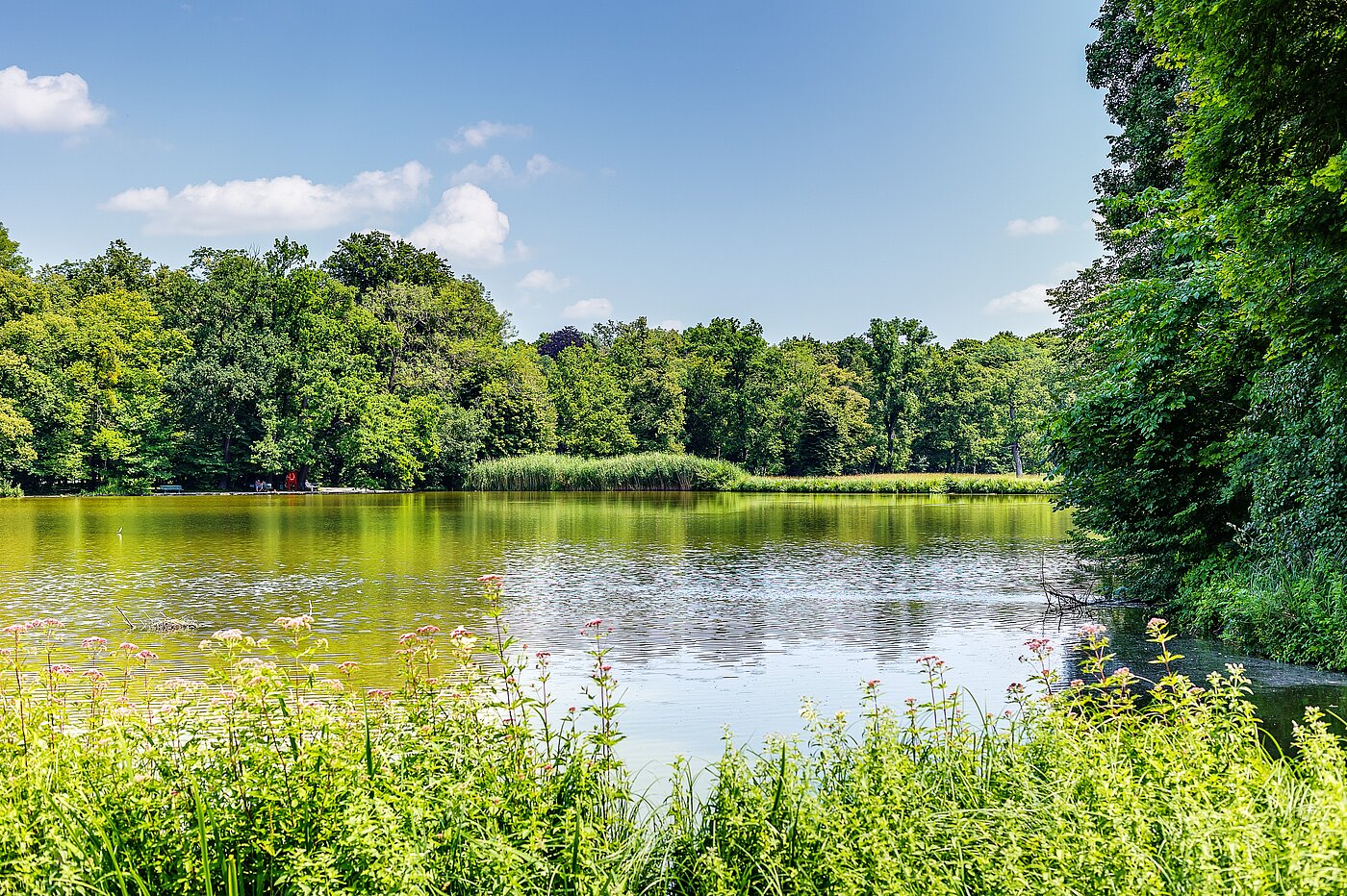 Плосък с 2.5 Стаи | München-Obermenzing | 700191 | Badenburger See