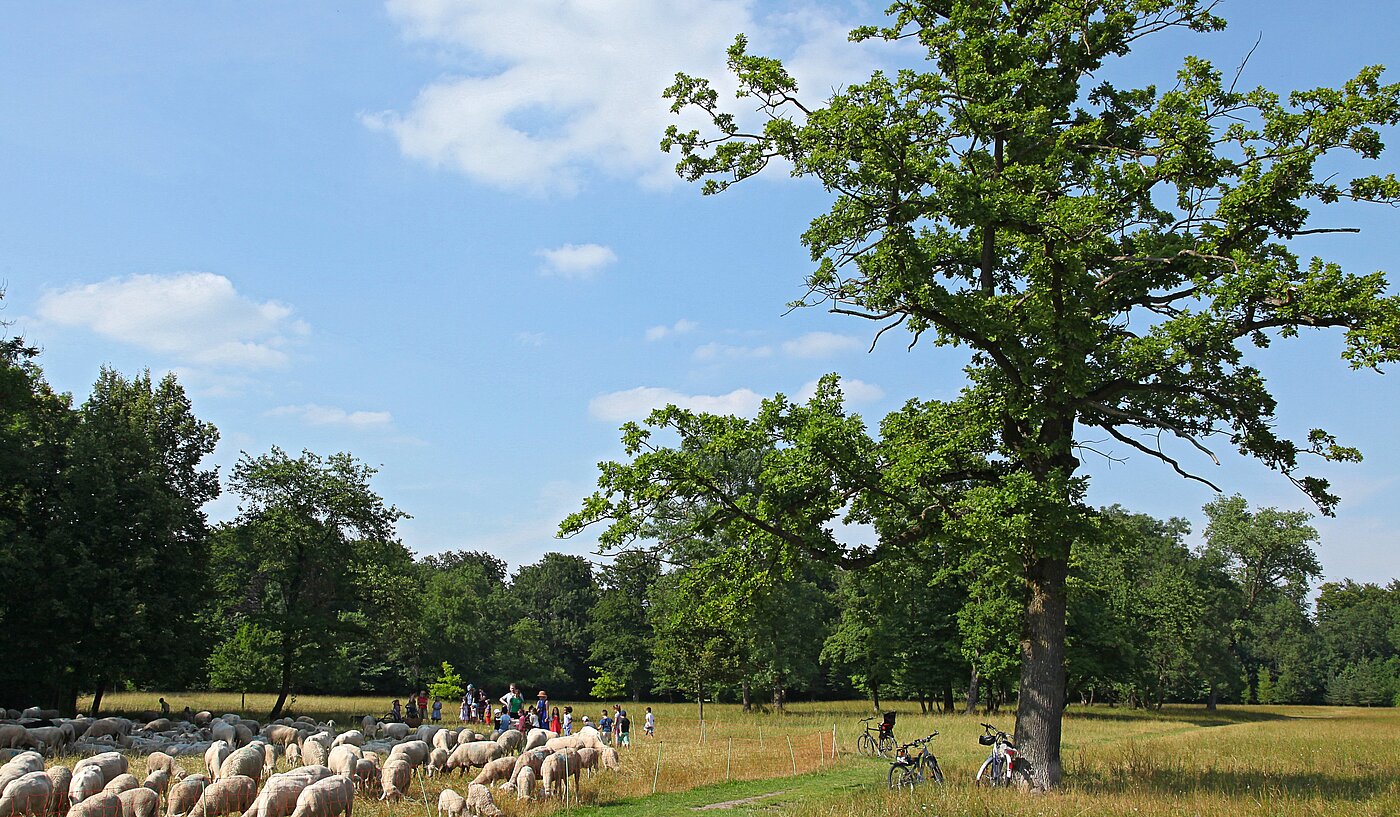 Penthouse a  címen 3.5 Szobák | München-Oberföhring | 70237 | Englischer Garten