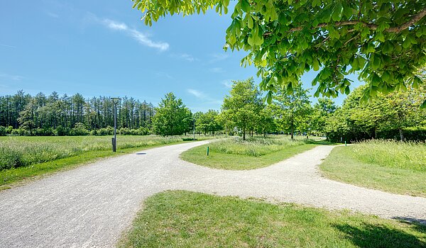 Hoekwoning met 6 Kamers | München-Trudering | 70191 | ...Impressionen