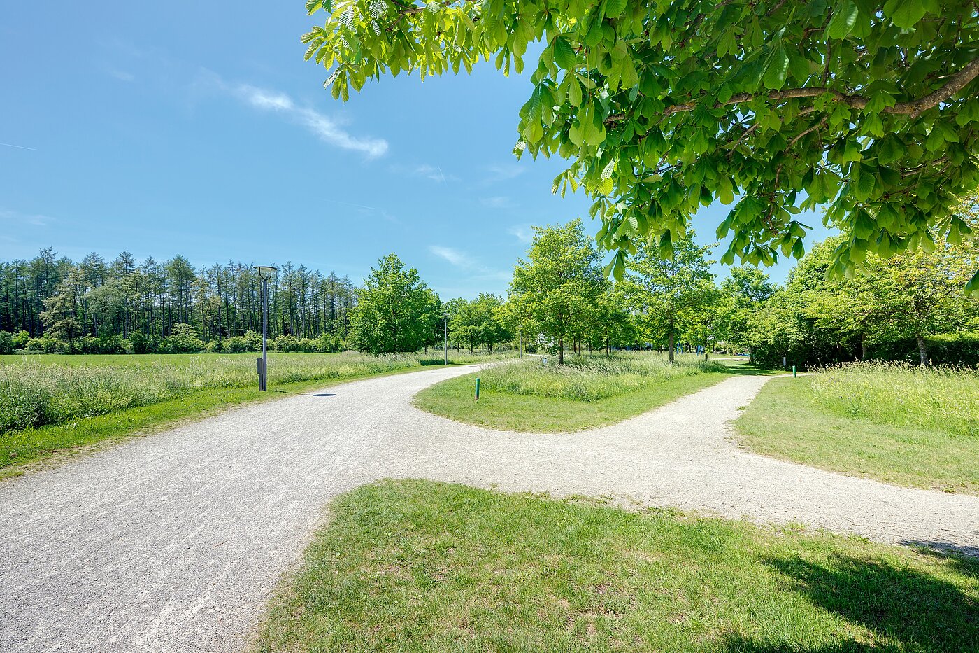 Sarok sorház a  címen 6 Szobák | München-Trudering | 70191 | ...Impressionen