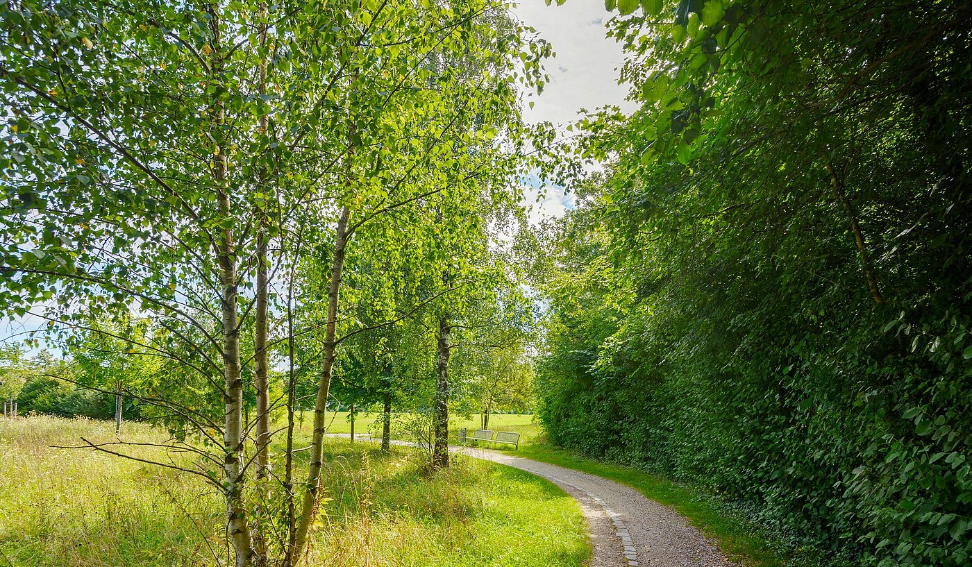 Плосък с 2 Стаи | Haar | 2007ML7 | Grüne Oase...