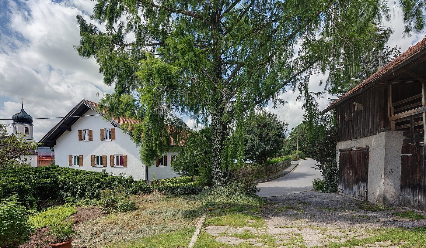Grundstücke | 1400m² | Starnberg | 1806ML4 | Blick zur Straße