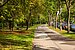 Apartment med 1 Rum | München-Solln | 70499 | Ruhige Umgebung... | Thumbnail