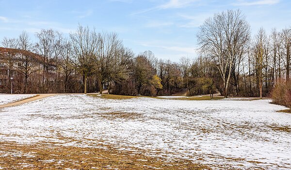 Плосък с 2 Стаи | Poing | 70373 | Direkt nebenan