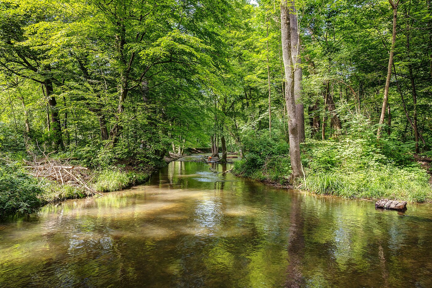 Flad med 2 Værelser | München-Pasing | 70141 | Grünflächen fußläufig