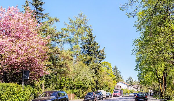 Επίπεδη με 3.5 Δωμάτια | München-Bogenhausen | 703052 | Ruhige Nachbarschaft