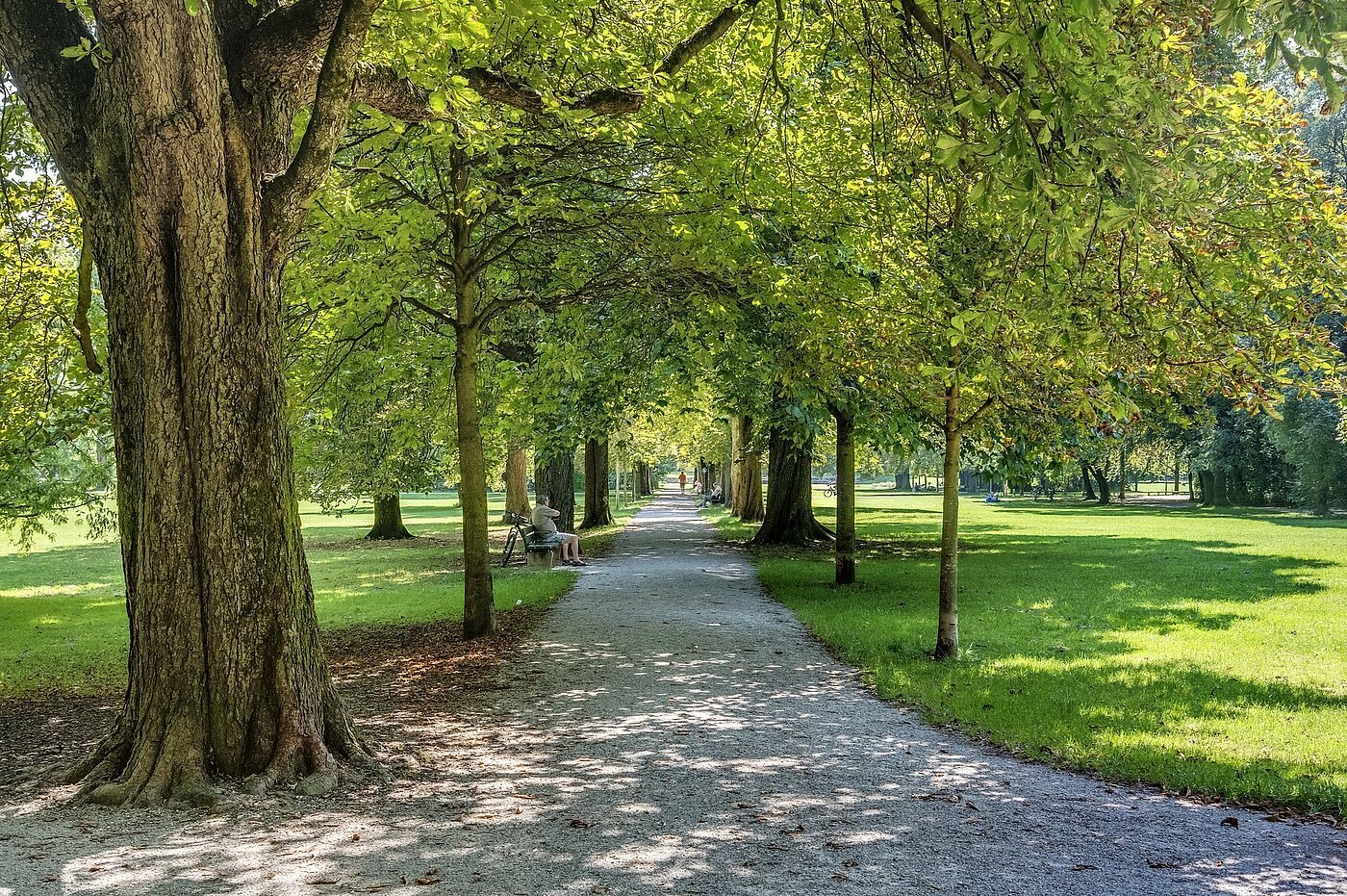 Flad med 1 Værelse | München-Schwabing | 2207ML10 | ...Freizeitwert