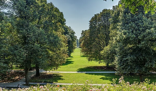 Επίπεδη με 1 Δωμάτιο | München-Schwabing | 70454 | Luitpoldpark