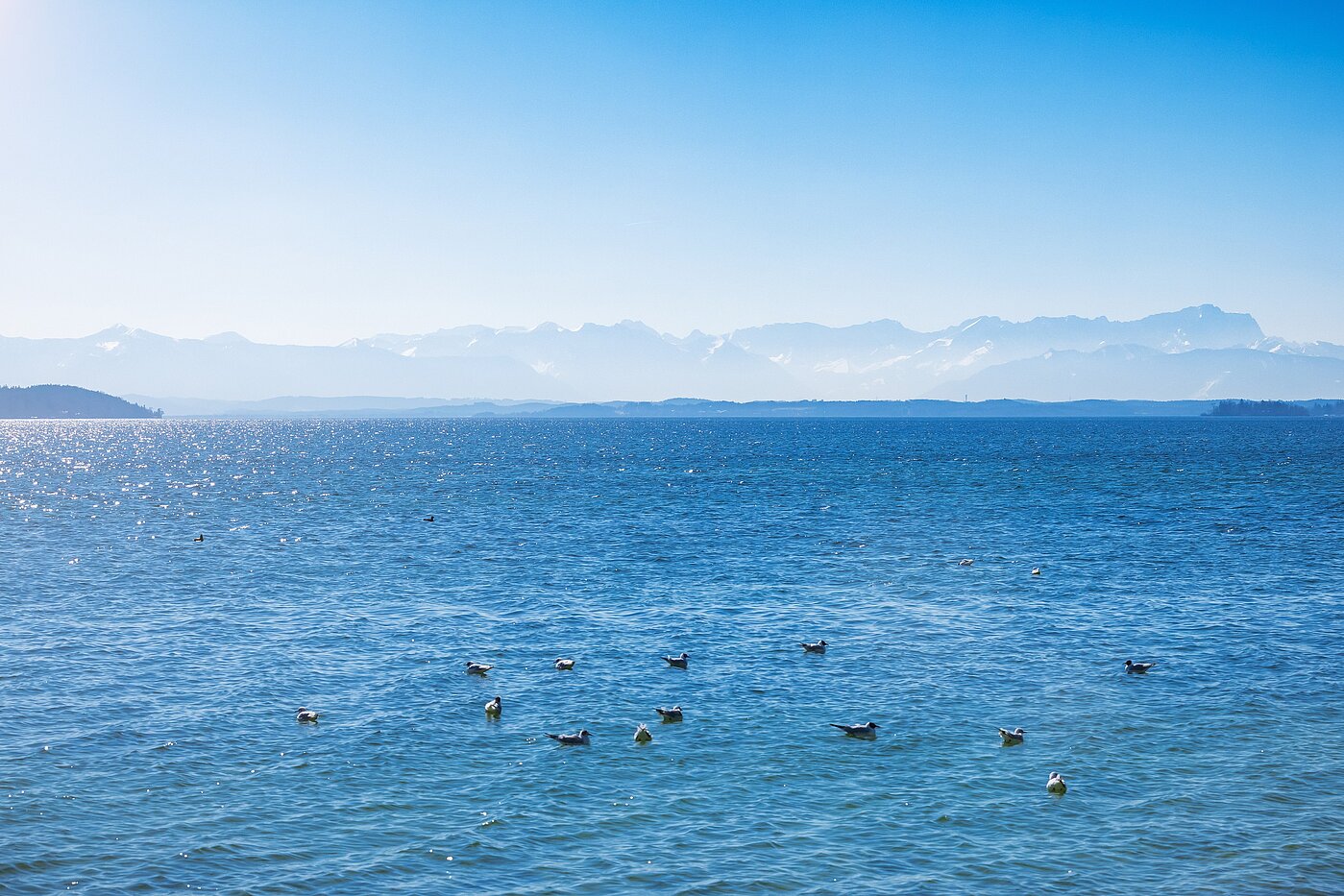 Επίπεδη με 1 Δωμάτιο | Starnberg | 2202ML2 | ...nicht weit entfernt