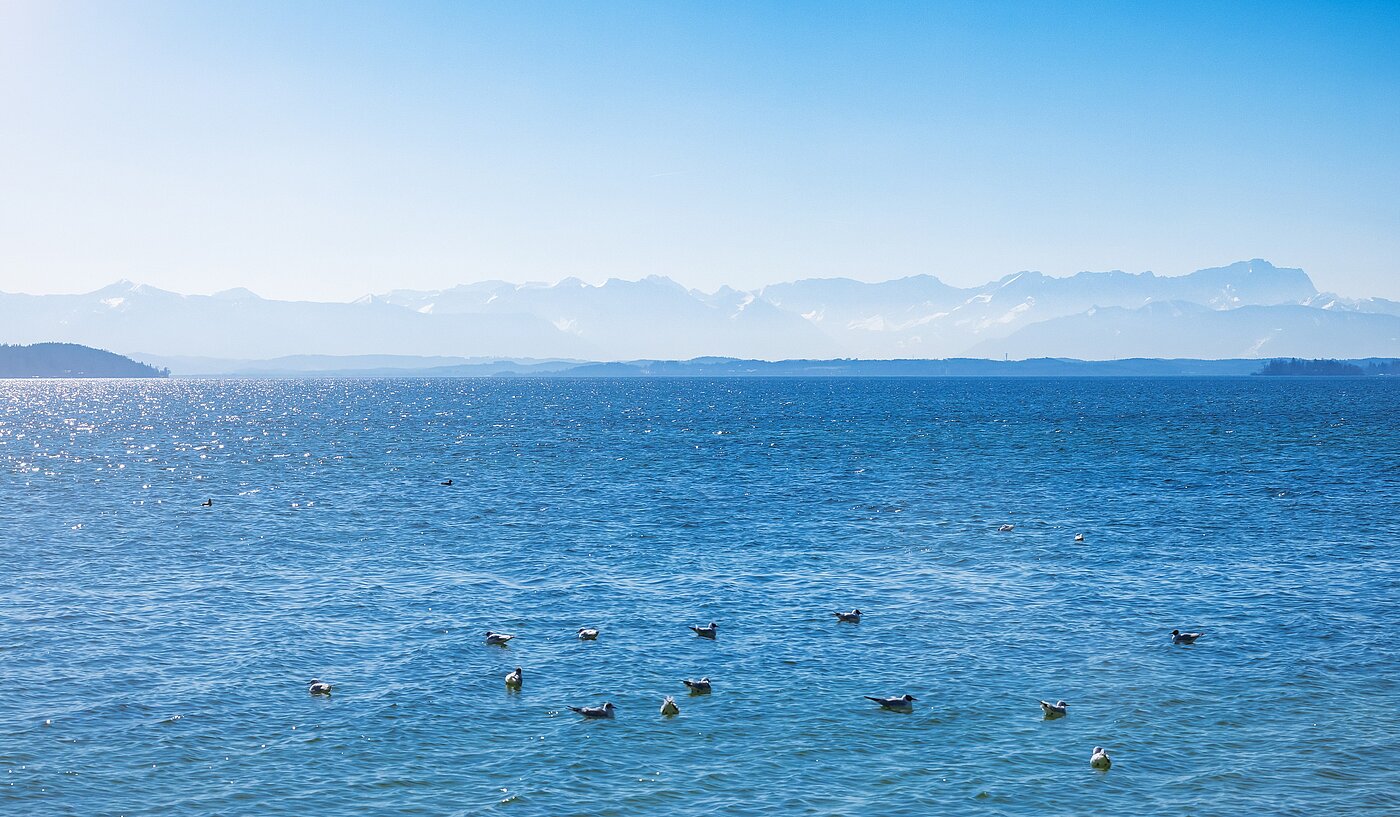 Плосък с 1 Стая | Starnberg | 2202ML2 | ...nicht weit entfernt