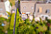 Narożny dom szeregowy z 5.5 Pokoje | München-Trudering | 702531 | Von oben | Thumbnail