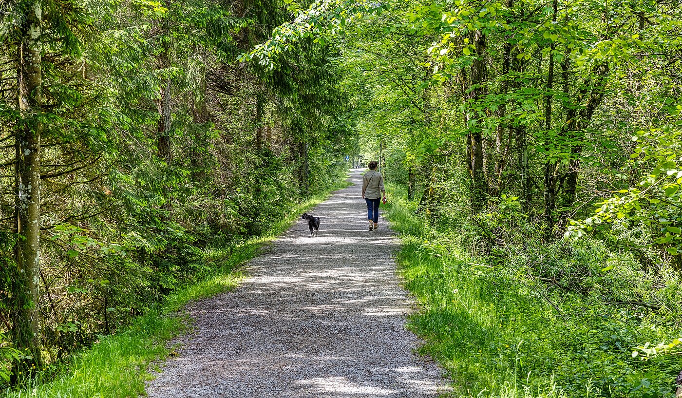 Düz ile 6 Odalar | 70095 | Der Erlebnisweg an der Weissach