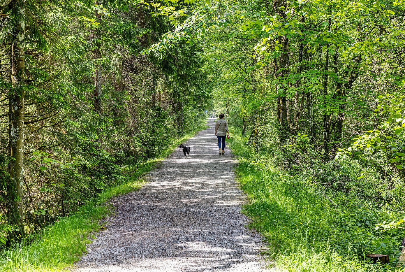 Düz ile 6 Odalar | 70095 | Der Erlebnisweg an der Weissach