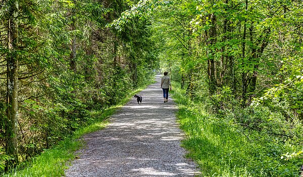 Düz ile 6 Odalar | 70095 | Der Erlebnisweg an der Weissach