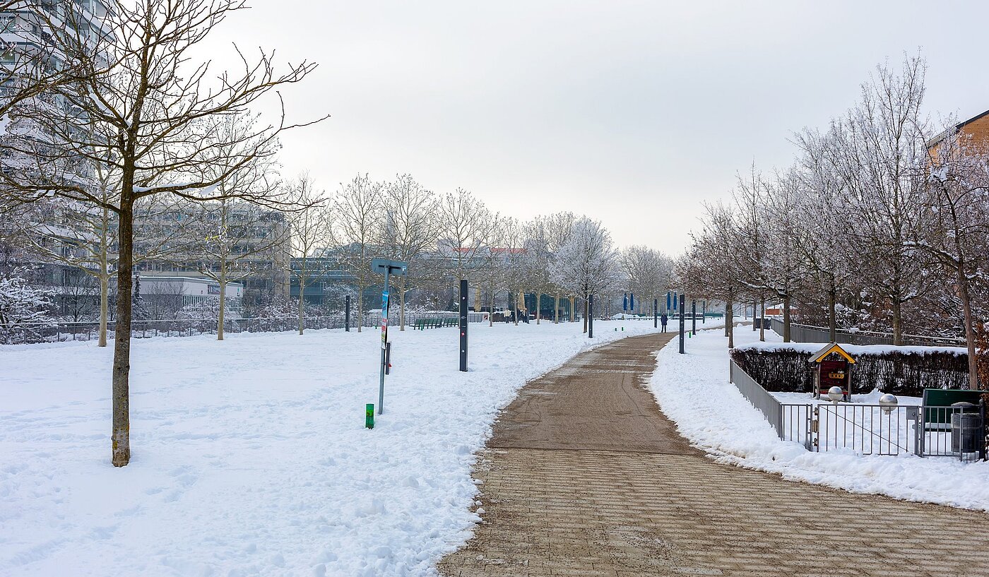 Плоский з 3 Кімнати | München-Milbertshofen | 1902ML3