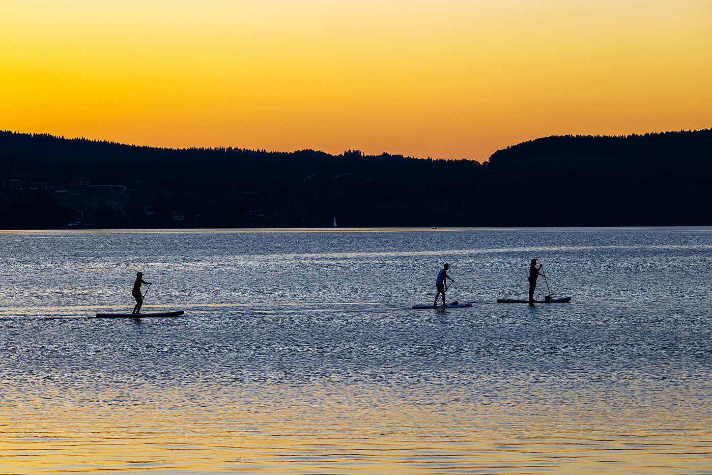 특수 속성 와 함께 15 객실 | Bad Wiessee | 701592 | Abendstimmung am Tegernsee