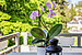Lapos a  címen 3 Szobák | München-Trudering | 70443 | Sonniger Westbalkon | Thumbnail