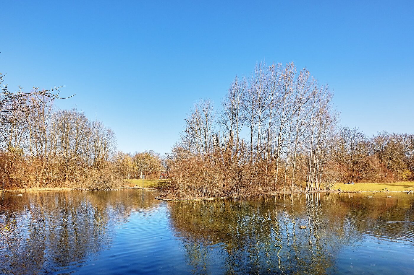 Плоский з 1 Кімната | München-Perlach | 2102ML1 | Erholung pur