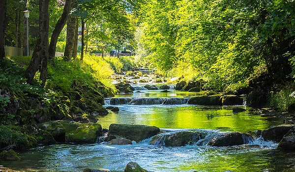 Особлива властивість з 15 Кімнати | Bad Wiessee | 701591 | Söllbach