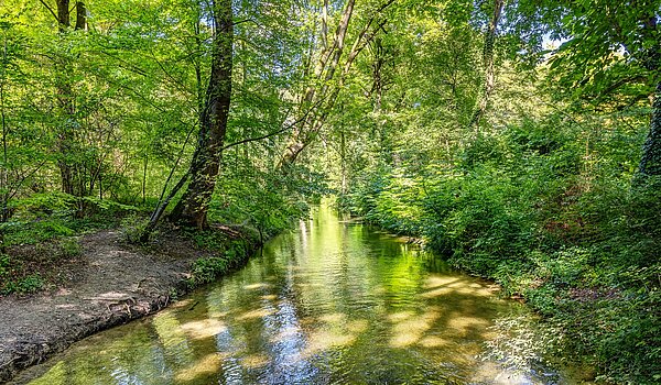 Maisonette lakás a  címen 3 Szobák | München-Lehel | 2209ML5 | ...Englischen Garten...