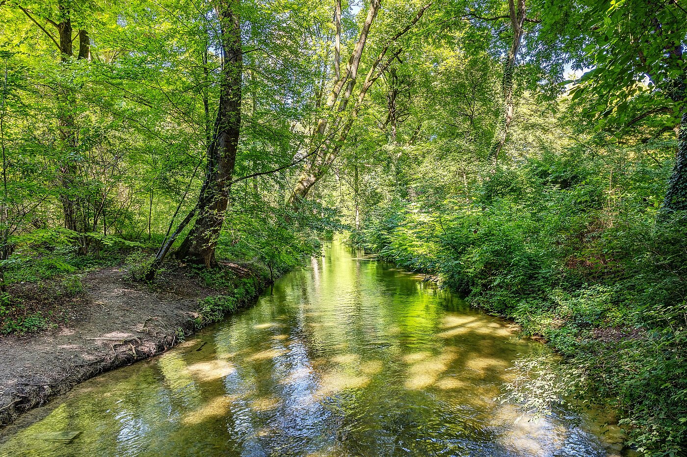 Maisonette lakás a  címen 3 Szobák | München-Lehel | 2209ML5 | ...Englischen Garten...