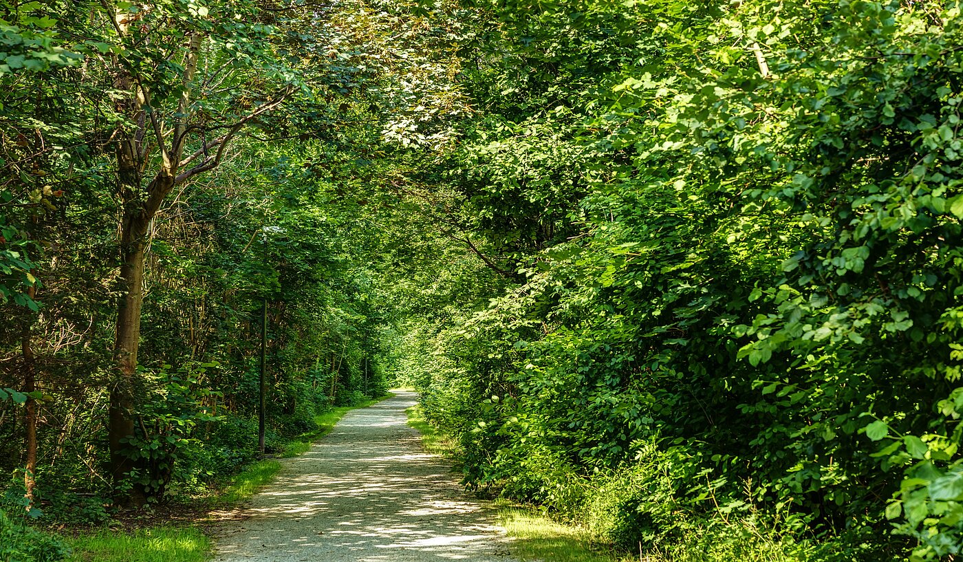 Плосък с 2 Стаи | Neubiberg | 70129 | Naherholung garantiert