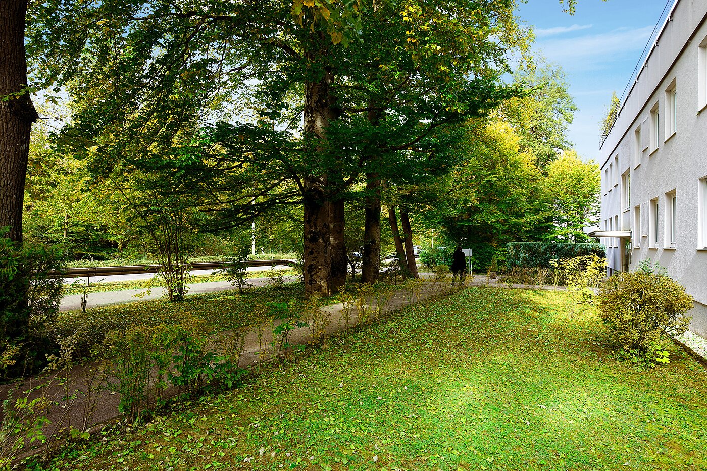 Plat met 1 Kamer | München-Solln | 70137 | Grüne Aussichten