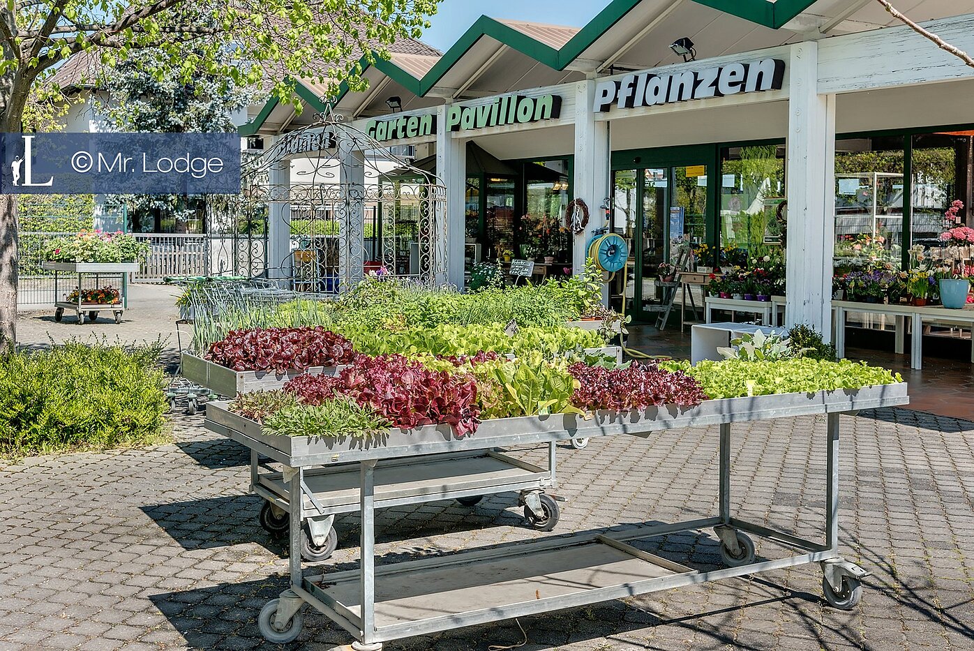 Loftslejlighed med 3 Værelser | München-Hasenbergl | 1803D9 | Gartencenter