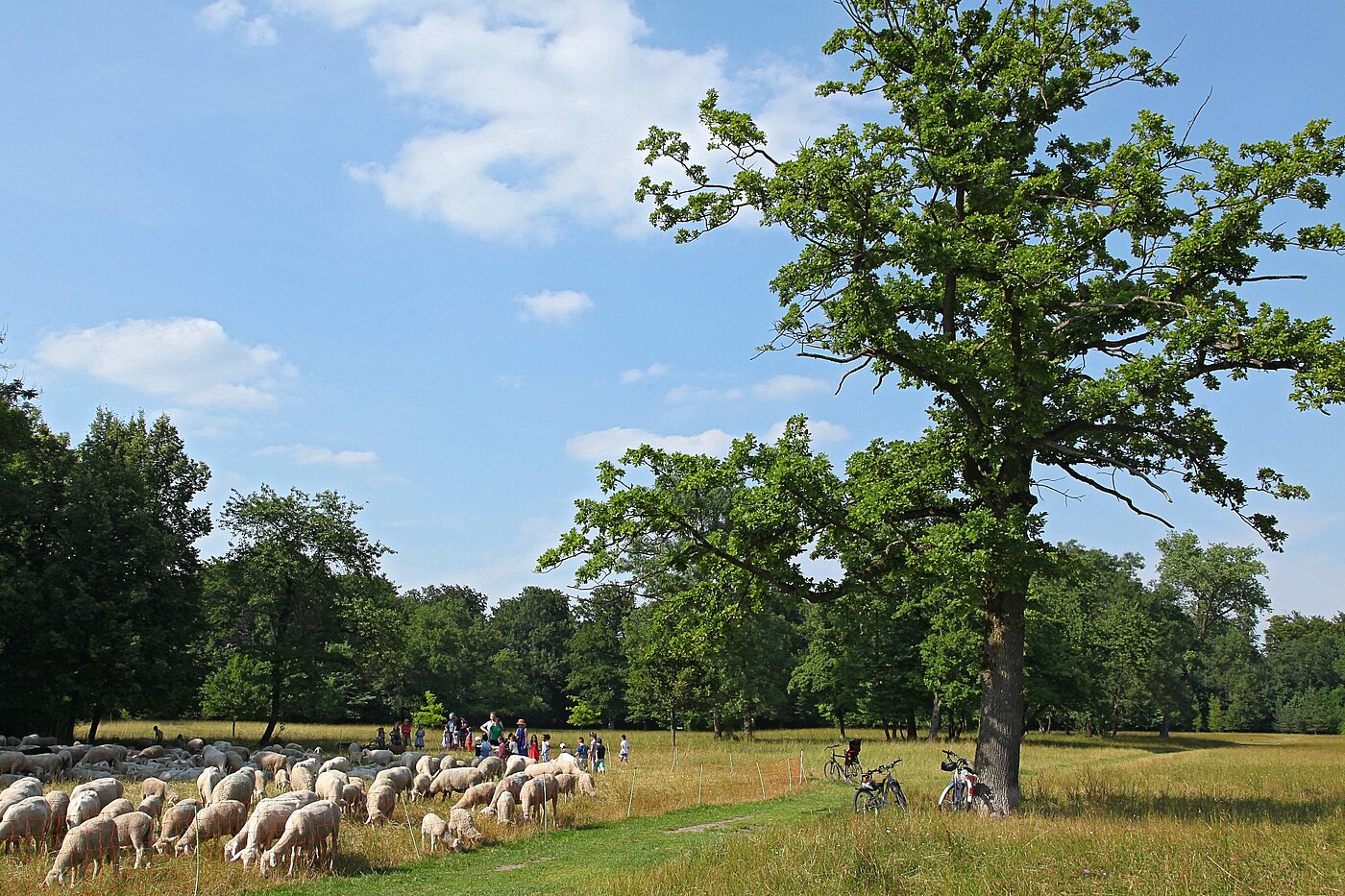 Düz ile 1 Oda | München-Freimann | 2105ML4 | Englischer Garten