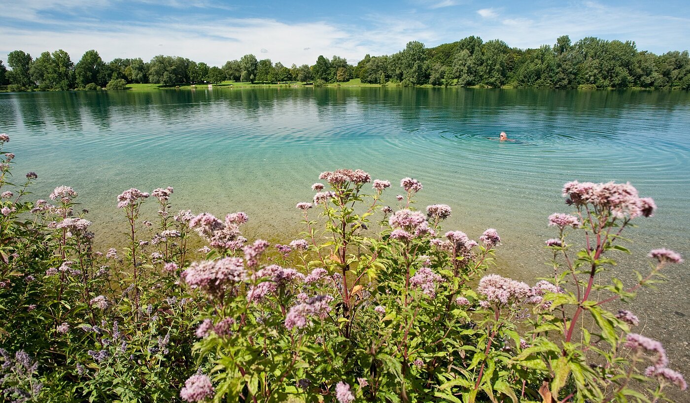 플랫 와 함께 3 객실 | Karlsfeld | 1904ML1 | ...vom Karlsfelder See