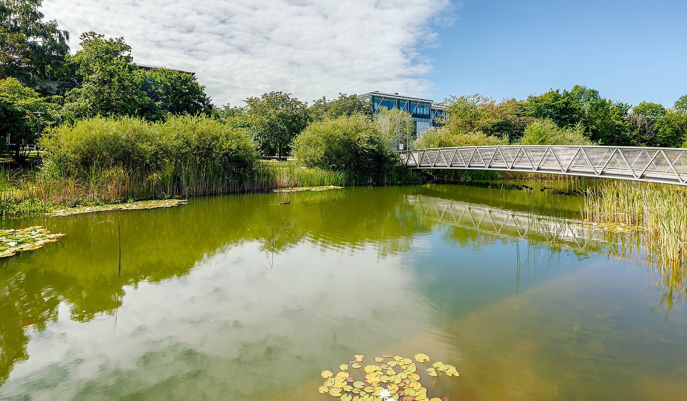 Плосък с 2 Стаи | Haar | 2007ML7 | ...direkt um die Ecke