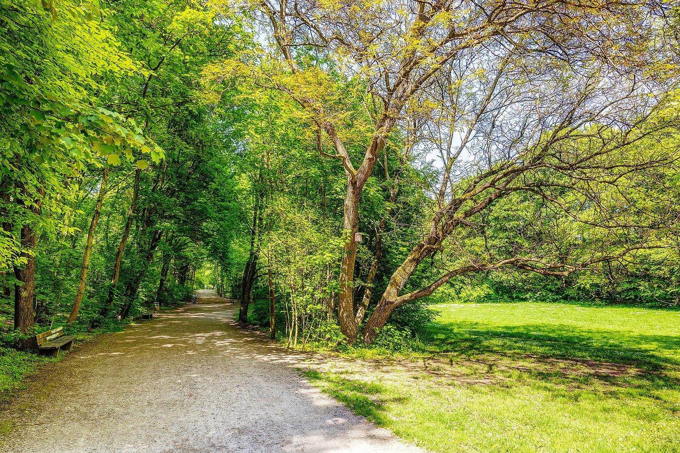 Плосък с 2.5 Стаи | München-Sendling | 70067 | Vom Sendlinger Park aus...