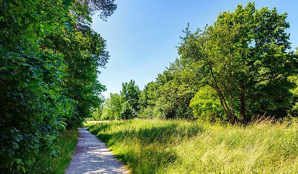 Επίπεδη με 3 Δωμάτια | 70483 | Riemer Park